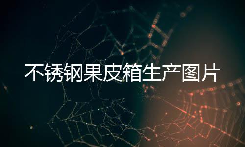 皮箱钢果图片不锈生产