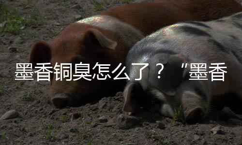 香铜刑事了怎么铜臭案判墨香墨经营决臭非法